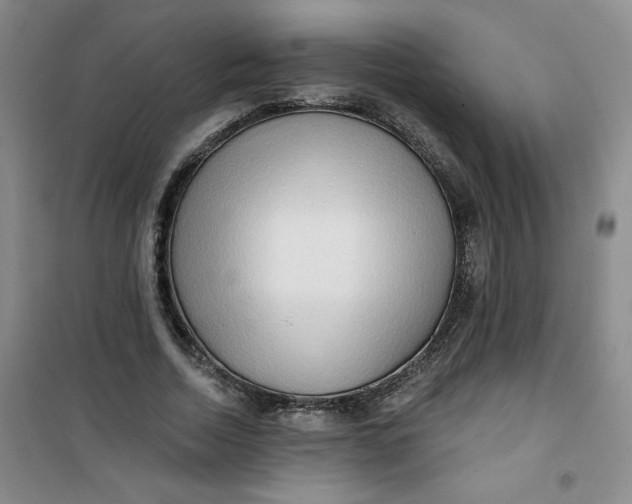 X0000100970730200807151351