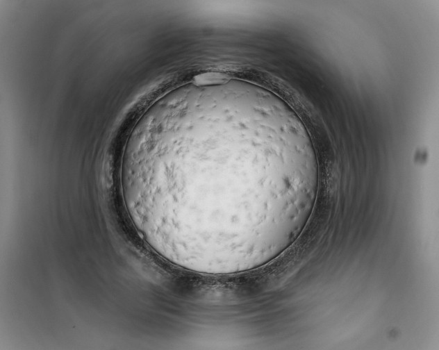 X0000100970731200807151351