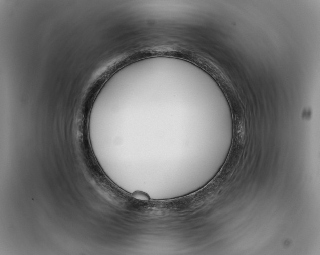 X0000100970732200807151351