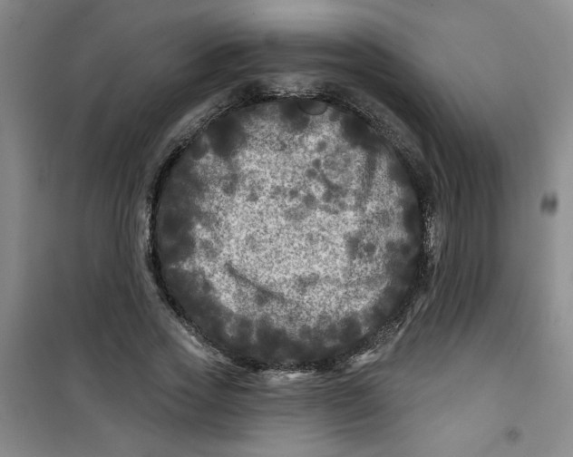 X0000100970733200807151351