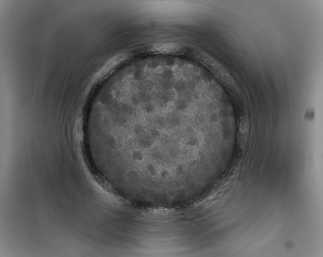 X0000100970734200807151351