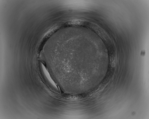 X0000100970735200807151351