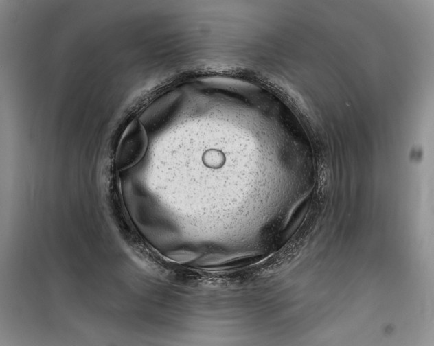 X0000100970736200807151351