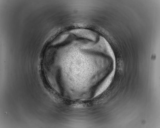 X0000100970738200807151351