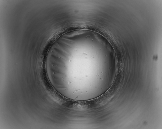 X0000100970739200807151351