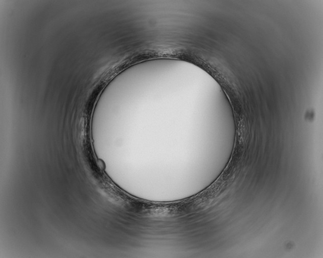 X0000100970740200807151351