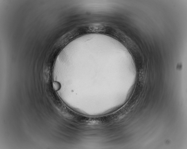 X0000100970741200807151351