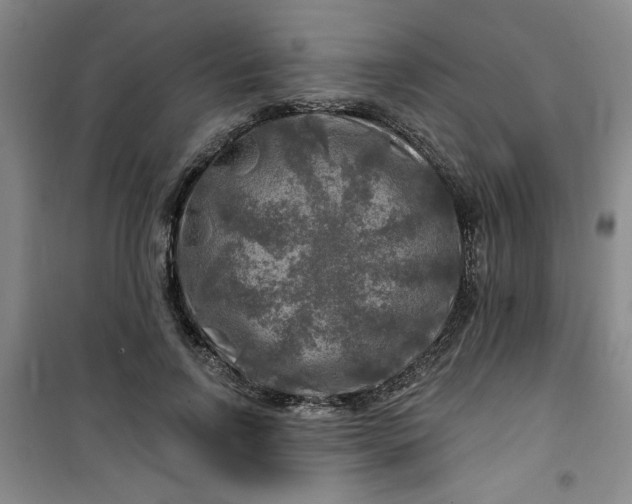 X0000100970742200807151351