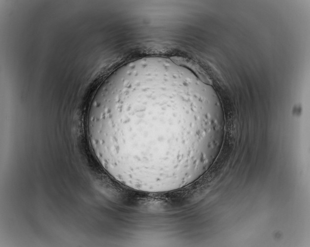 X0000100970743200807151351