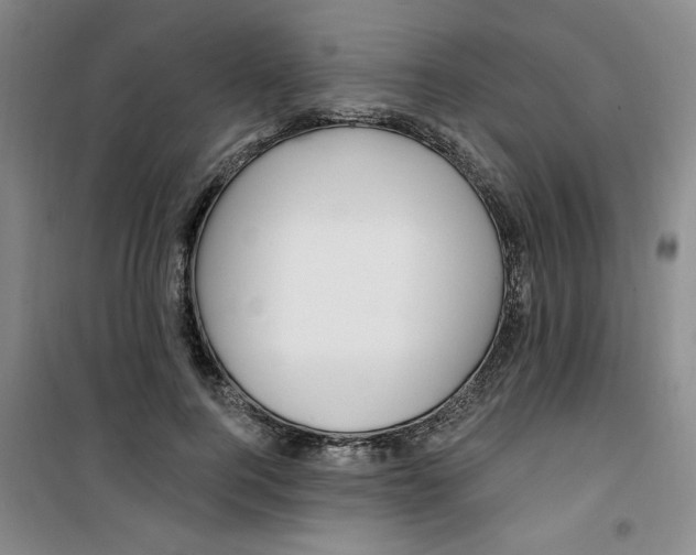 X0000100970744200807151351