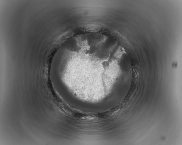 X0000100970745200807151351