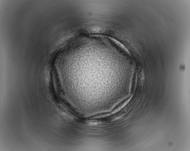 X0000100970746200807151351