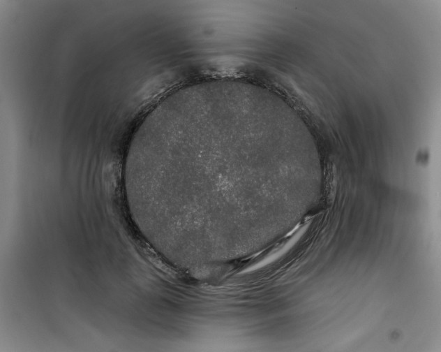 X0000100970747200807151351