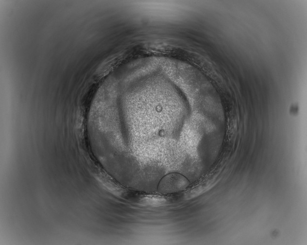 X0000100970749200807151351