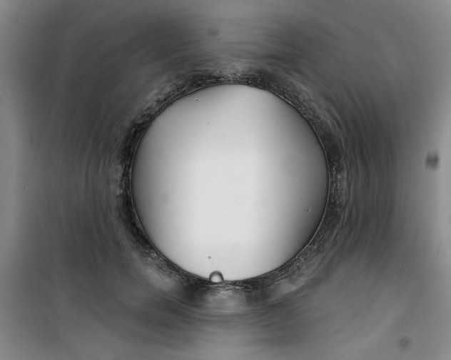 X0000100970750200807151351