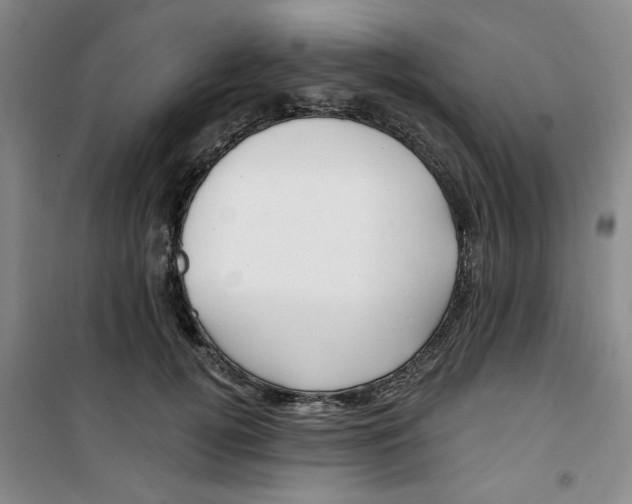 X0000100970752200807151351