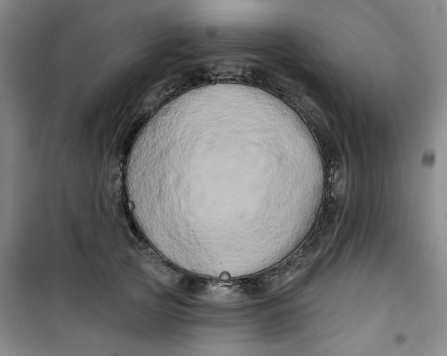 X0000100970753200807151351