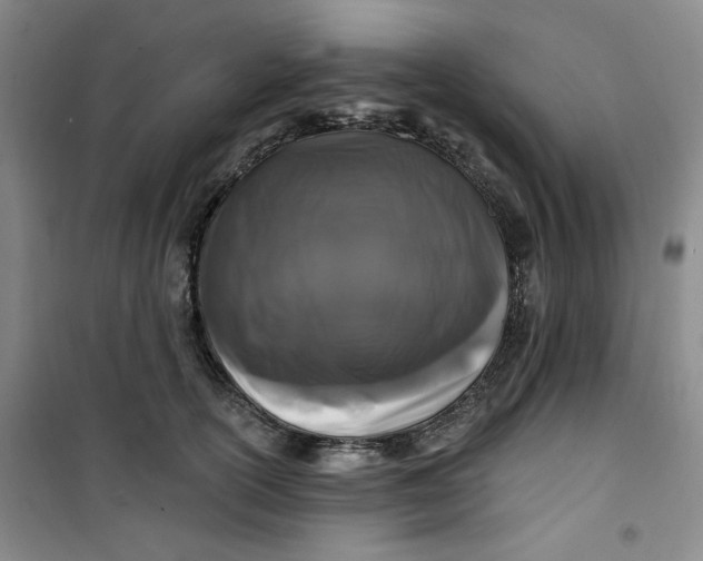 X0000100970754200807151351