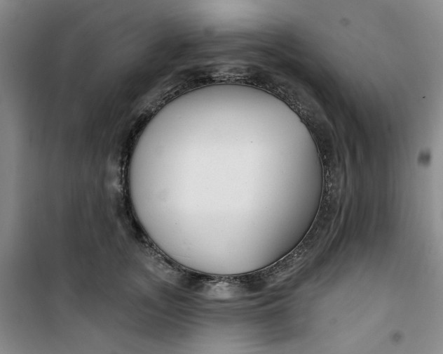 X0000100970755200807151351