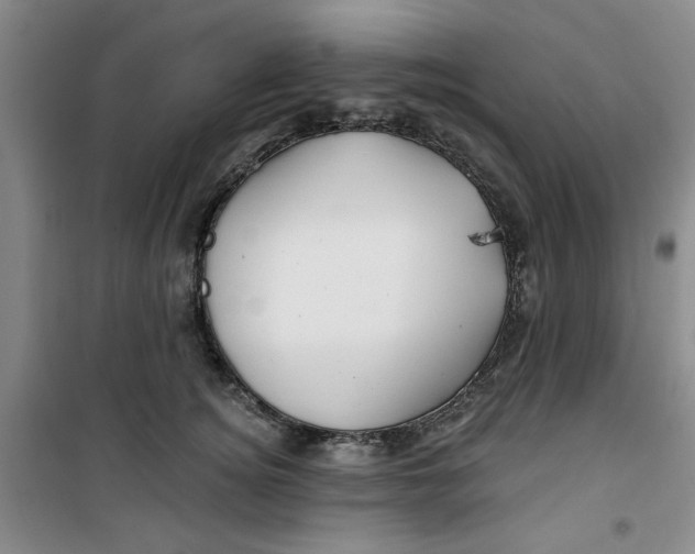 X0000100970756200807151351