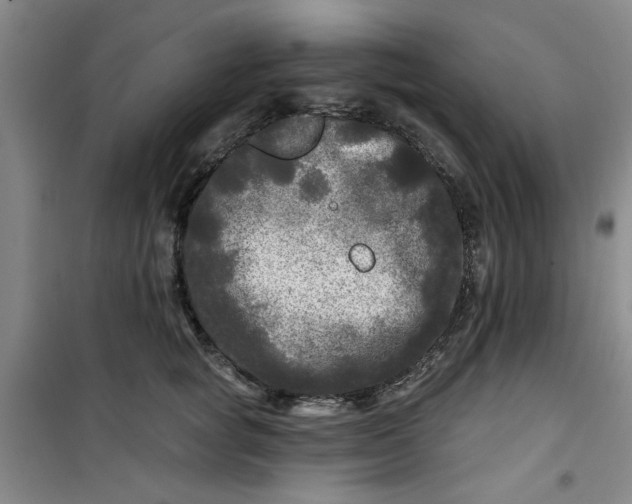 X0000100970757200807151351