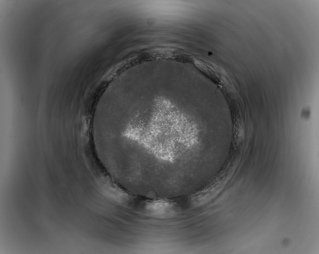 X0000100970759200807151351