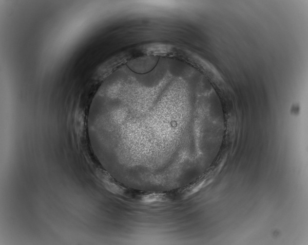 X0000100970761200807151351