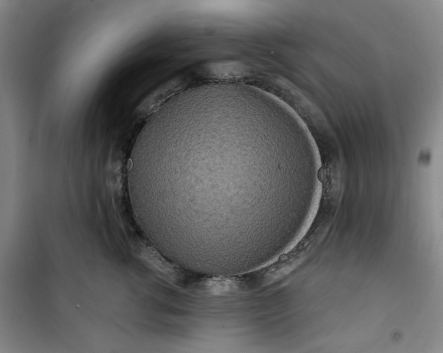 X0000100970762200807151351