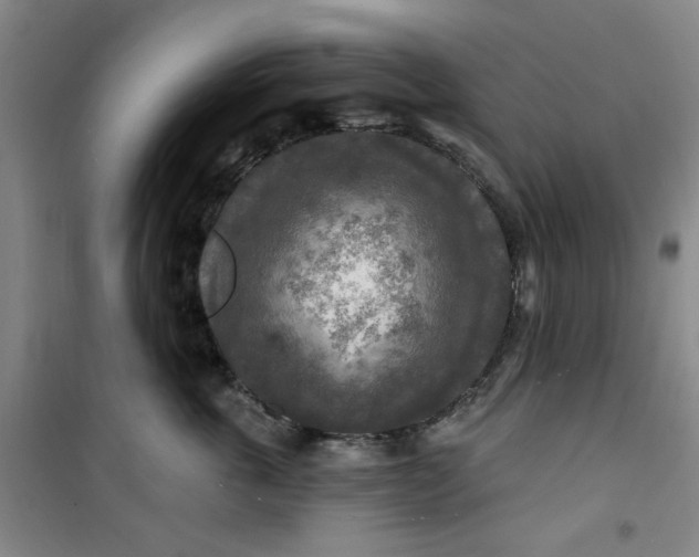 X0000100970763200807151351