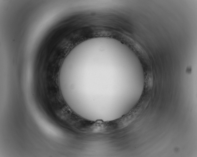 X0000100970764200807151351