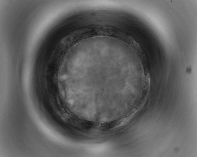 X0000100970765200807151351