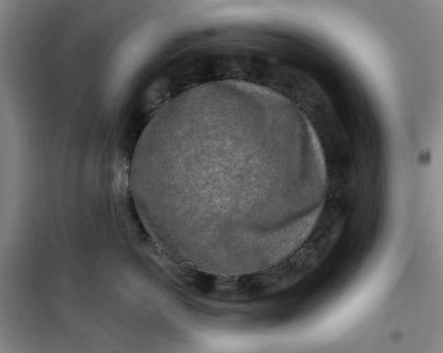 X0000100970766200807151351