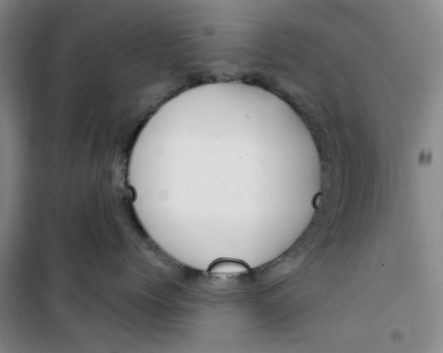 X0000100970768200807151351