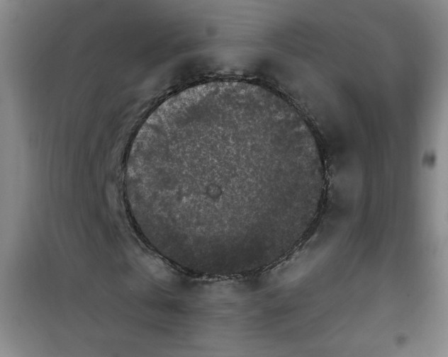 X0000100970769200807151350