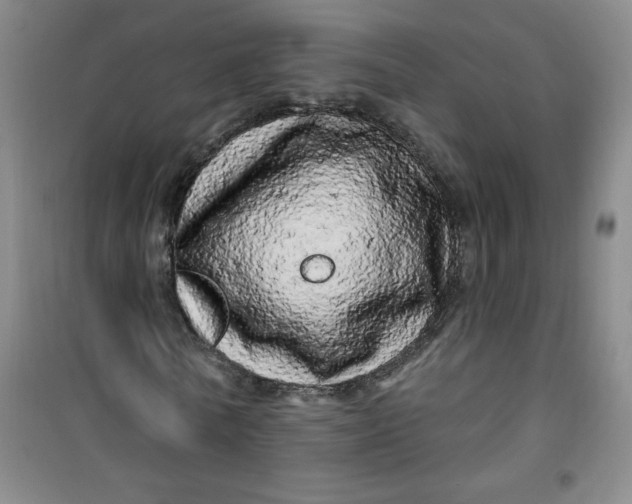 X0000100970770200807151350