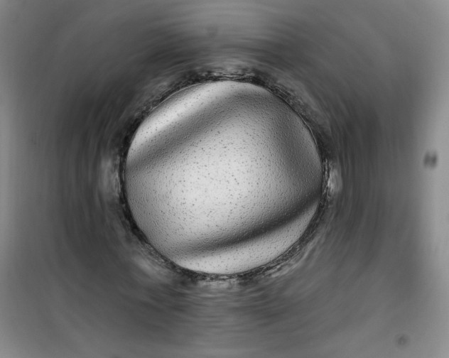 X0000100970771200807151350