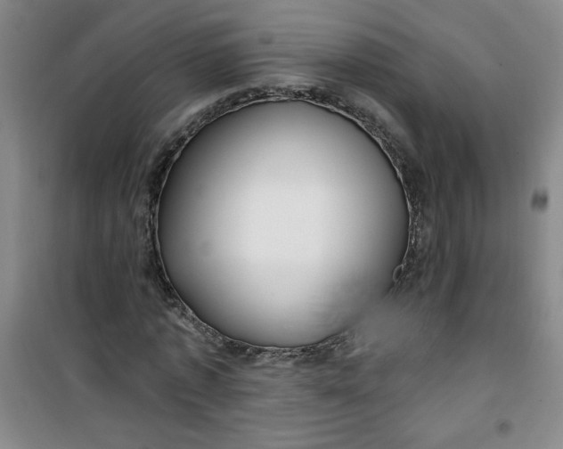 X0000100970773200807151350