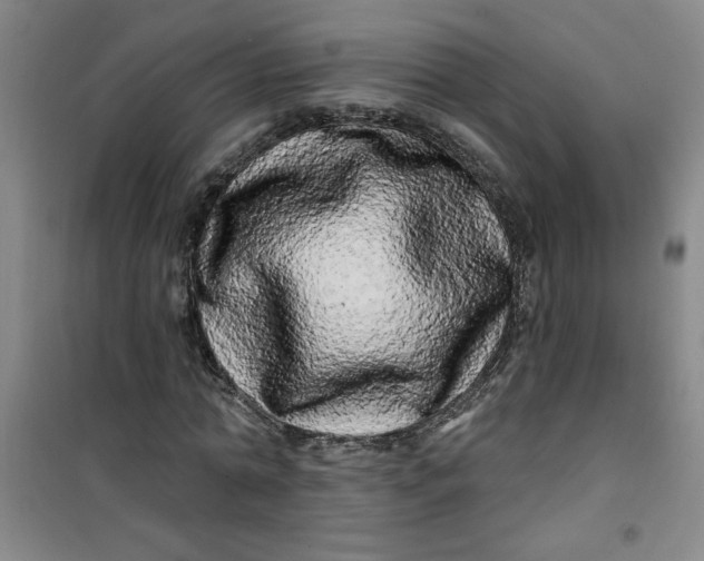 X0000100970774200807151350
