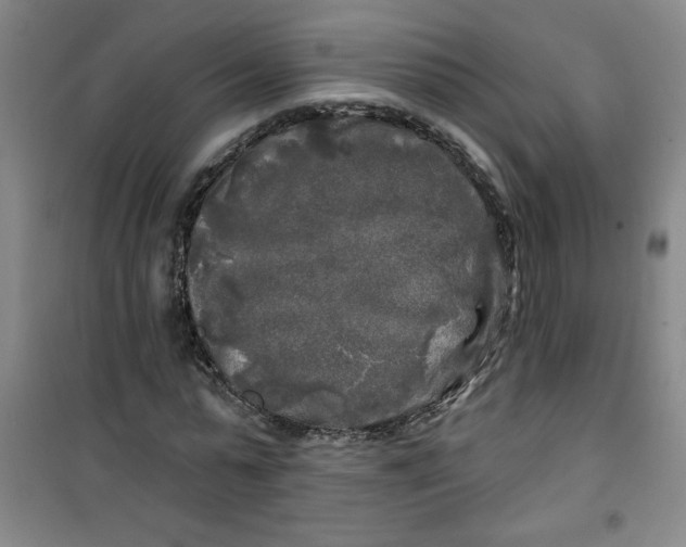 X0000100970775200807151350