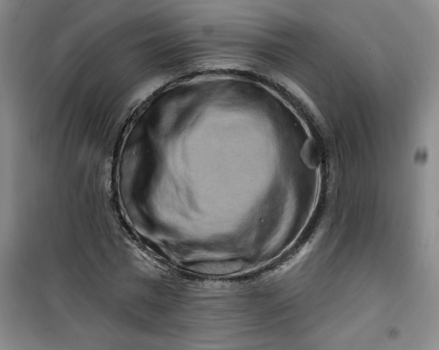 X0000100970777200807151350