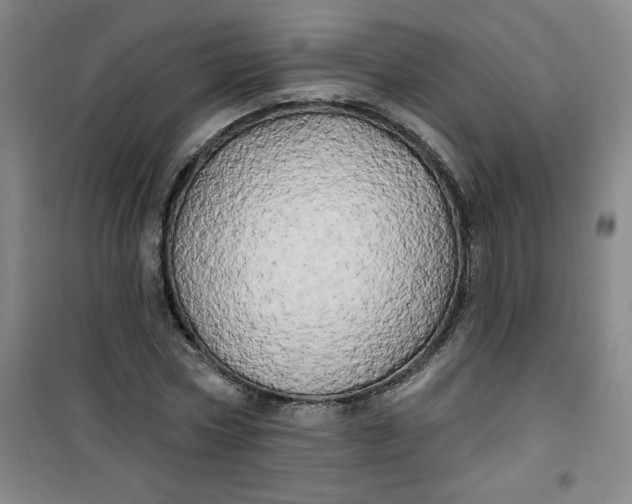 X0000100970778200807151350