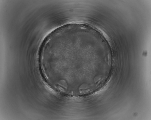X0000100970779200807151350
