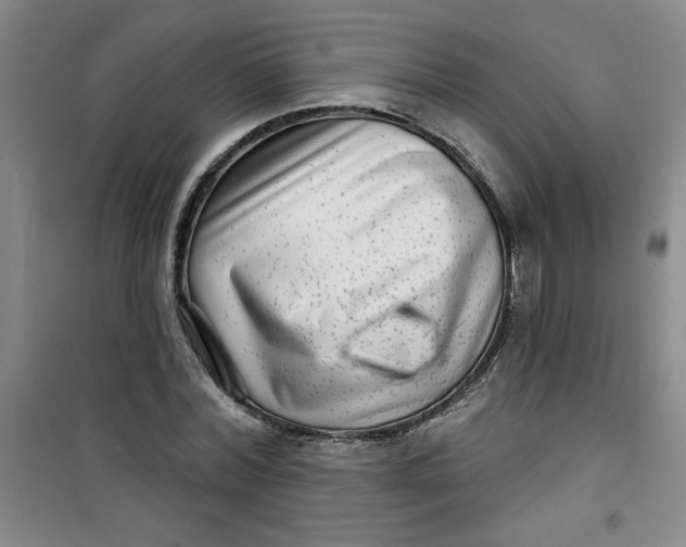 X0000100970780200807151350