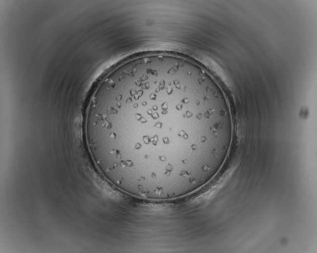 X0000100970781200807151350