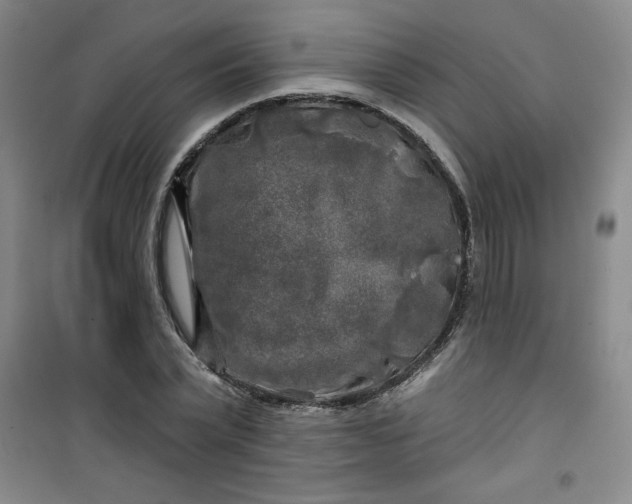 X0000100970783200807151350