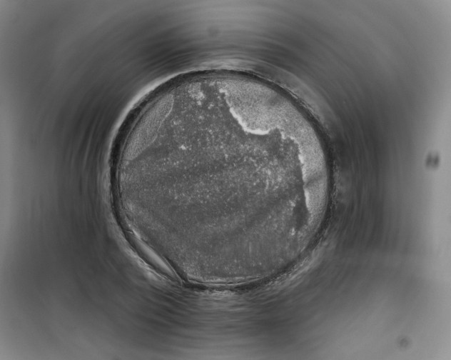 X0000100970784200807151350