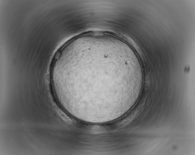 X0000100970787200807151350