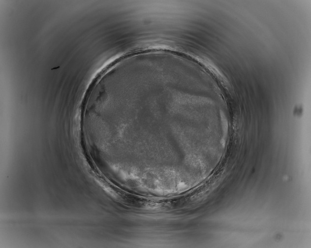 X0000100970790200807151350