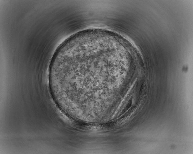 X0000100970791200807151350