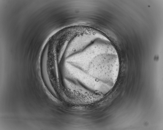 X0000100970792200807151350